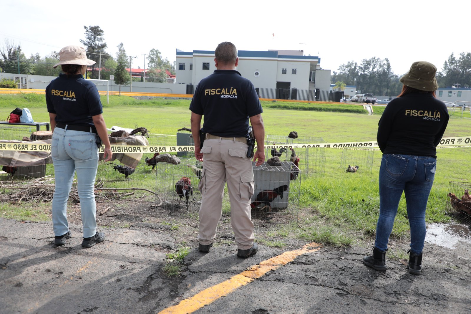 Operativos de la FGE en Huatzangio, Lagunillas: rescatando aves y perros, asegurando vehículos y evidencias en dos inmuebles
