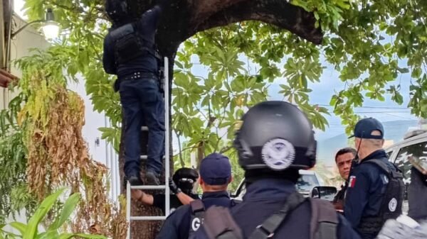 Imagen ilustrativa de cámaras de vigilancia ocultas en un poste de luz y un árbol en zona urbana de Apatzingán, Michoacán