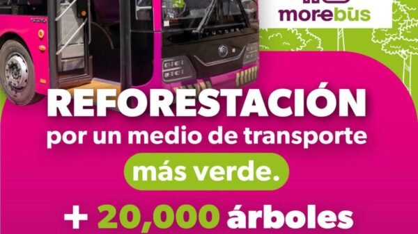 Voluntarios y personal del proyecto Morebús plantando árboles nativos en Villas del Pedregal, Morelia, durante la jornada del 23 de agosto.