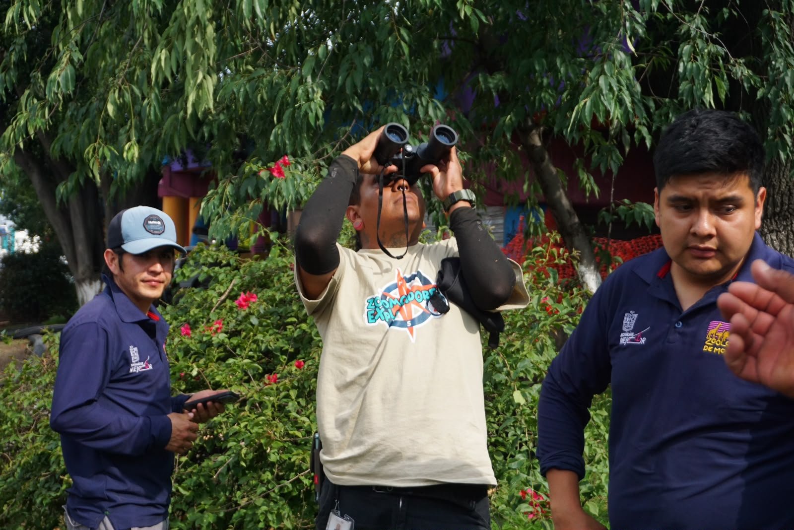 Equipo veterinario y especialistas del Zoológico de Morelia trabajando en campo para resguardar y reubicar fauna local en zona de obras de Tres Puentes