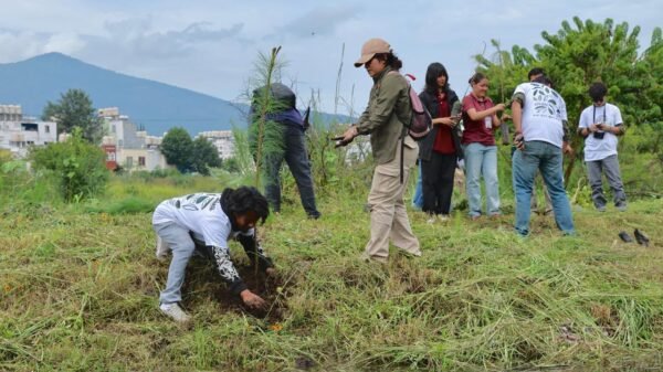Árboles recién plantados en espacios públicos de Morelia: pinos, fresnos, colorines y cazahuates