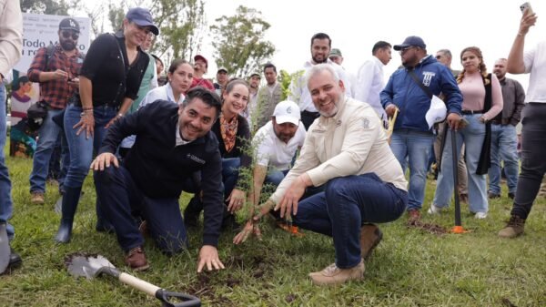 Voluntarios plantando árboles en el fraccionamiento Villas del Pedregal de Morelia, como parte de la iniciativa de reforestación del Morebús