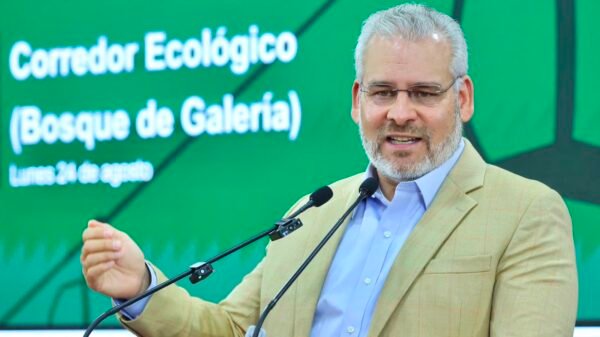 Árboles en la zona de Tres Puentes, con señalización y equipo de obra para el proyecto Morebús en el fondo