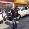 Dos perros de talla mediana, uno blanco con manchas café y otro negro, rescatados en un patio de Sahuayo por la Fiscalía de Michoacán