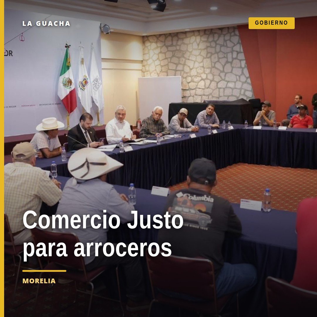 Productores michoacanos registrándose en línea al programa comercio justo arroceros en Morelia