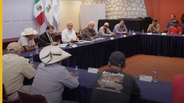 Imagen ilustrativa de campo de arroz en Michoacán con logo de Comercio Justo y fecha 23 de septiembre, simbolizando el