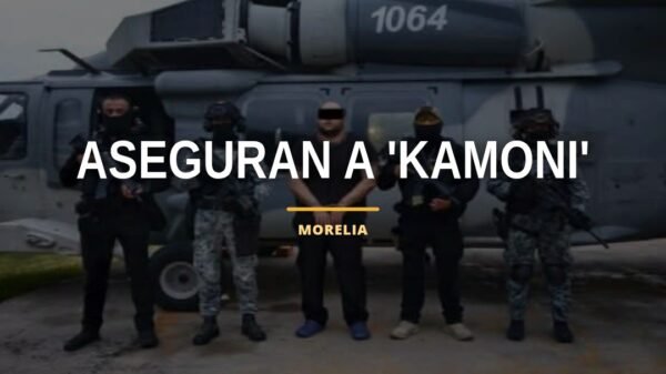 Captura de kamoni: imagen ilustrativa de operativo conjunto en Michoacán con elementos del Ejército Mexicano, Guardia