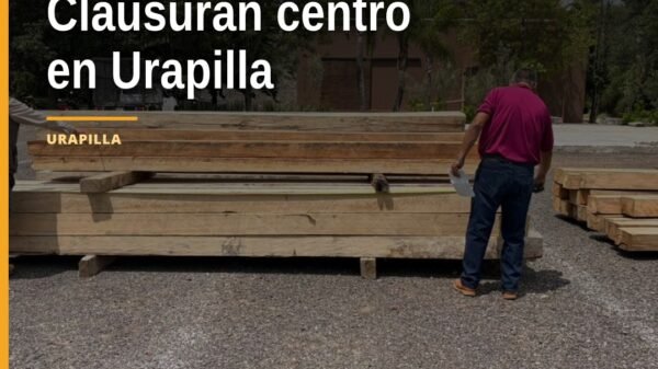 Imagen ilustrativa de un centro de almacenamiento de madera clausurado en Urapilla, con sellos oficiales y madera apilada —