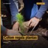 Cofom regala plantas: persona recibiendo árboles jóvenes en macetas en las oficinas de la Comisión Forestal del Estado en el