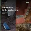 Fosa en Zacapu, Michoacán, con restos dentales infantiles y fragmentos óseos recuperados por el colectivo Buscando Cuerpos