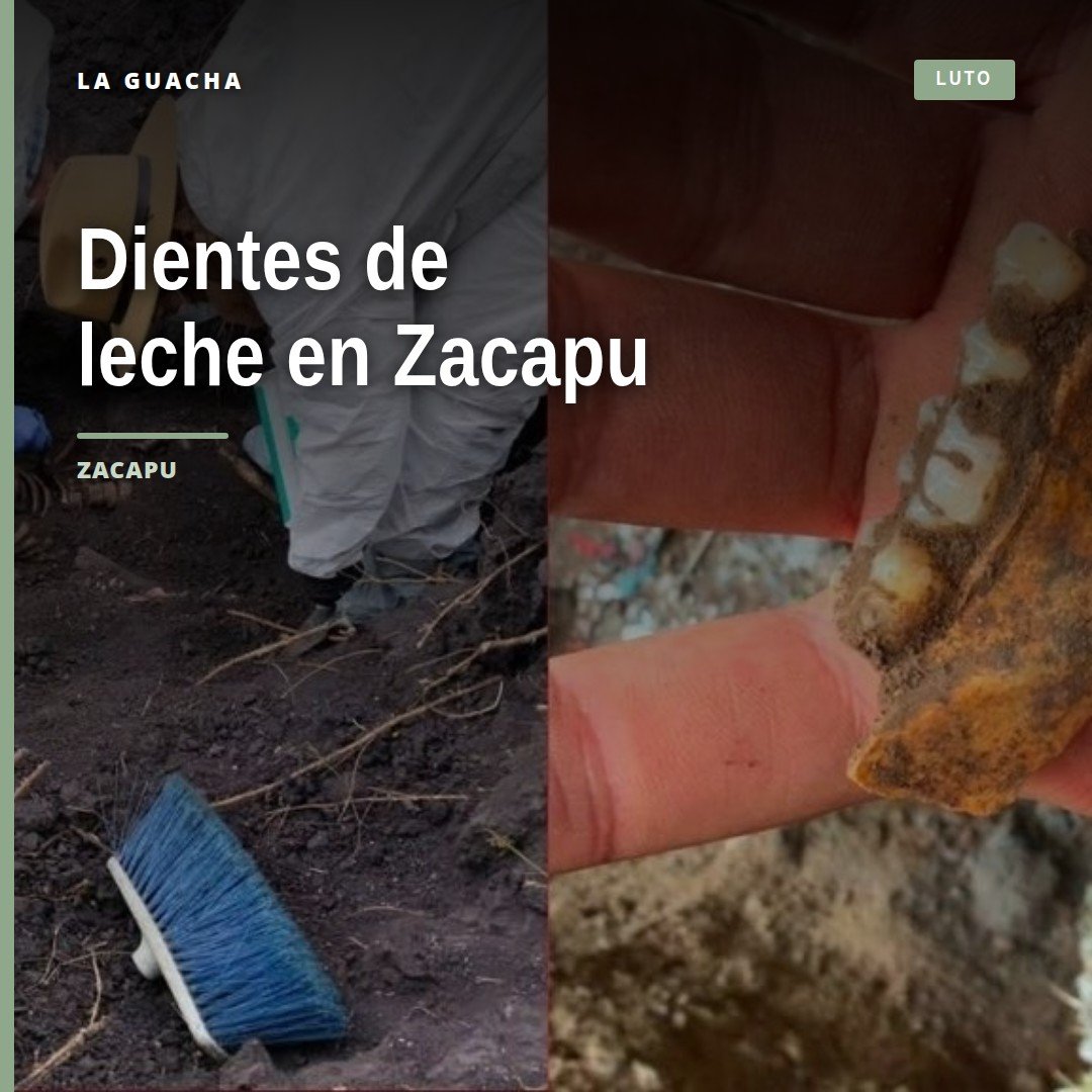 Fosa en Zacapu, Michoacán, con restos dentales infantiles y fragmentos óseos recuperados por el colectivo Buscando Cuerpos