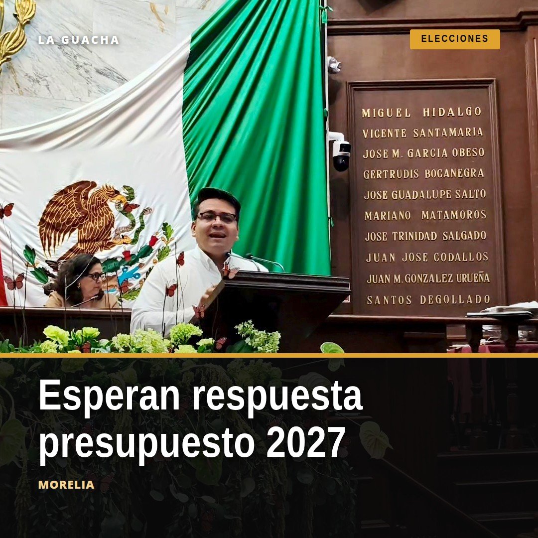 Diputado Toño Carreño hablando ante micrófonos en Morelia sobre el presupuesto electoral 2027