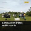Dron agrícola dispersando germoesferas sobre zona forestal montañosa en Michoacán, durante el programa Bio Renace