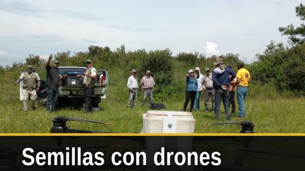Dron agrícola dispersando germoesferas sobre zona forestal montañosa en Michoacán, durante el programa Bio Renace