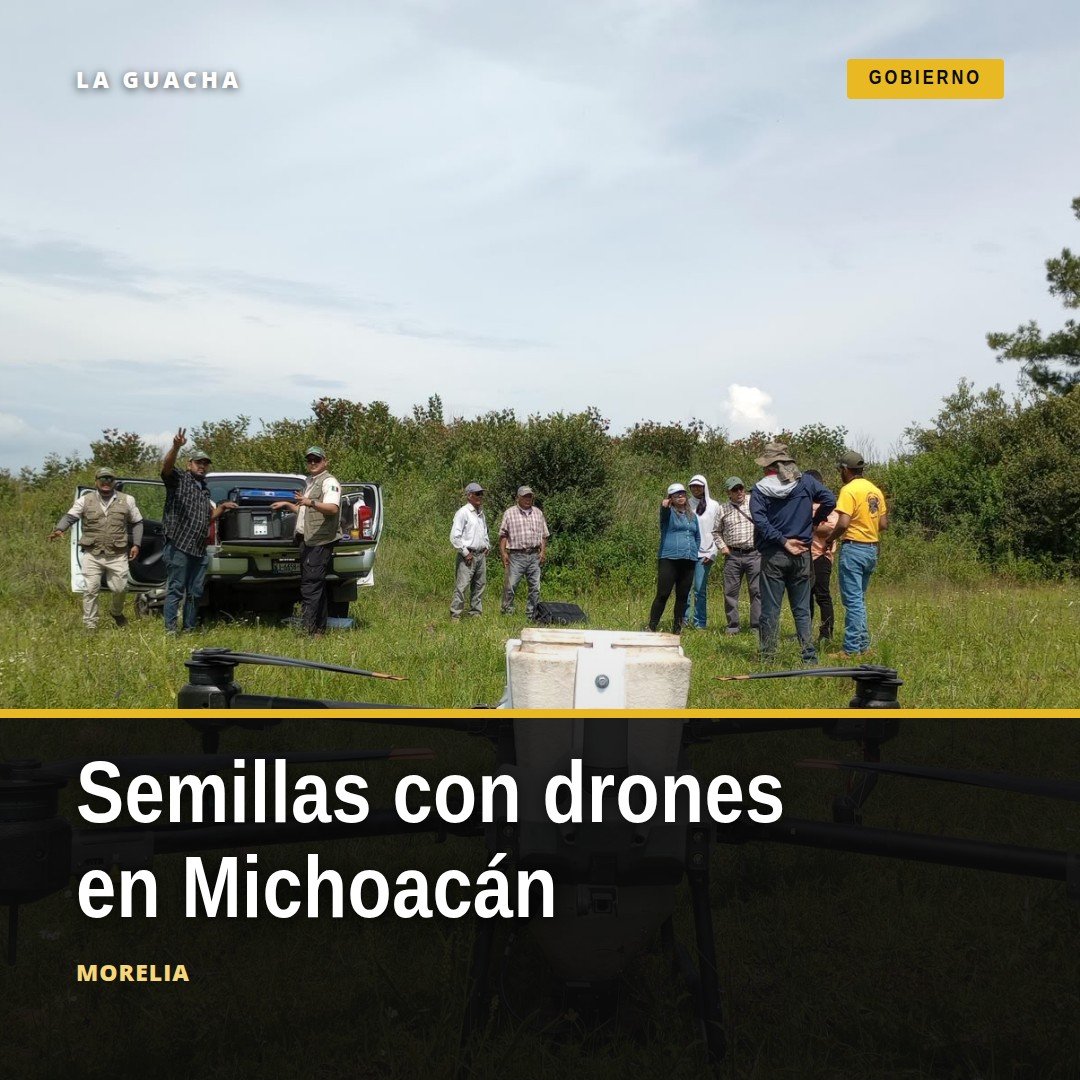 Dron agrícola dispersando germoesferas sobre zona forestal montañosa en Michoacán, durante el programa Bio Renace