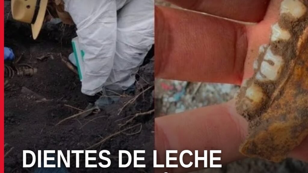 Mujeres buscadoras tamizando tierra en un predio de Michoacán donde se hallaron dientes de leche michoacán