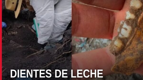 Mujeres buscadoras tamizando tierra en un predio de Michoacán donde se hallaron dientes de leche michoacán