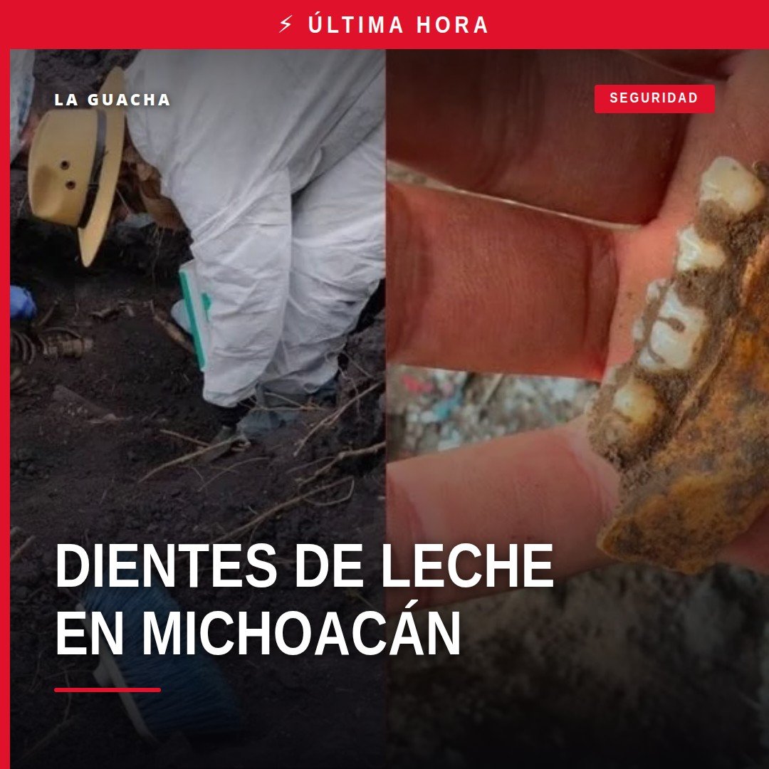 Mujeres buscadoras tamizando tierra en un predio de Michoacán donde se hallaron dientes de leche michoacán