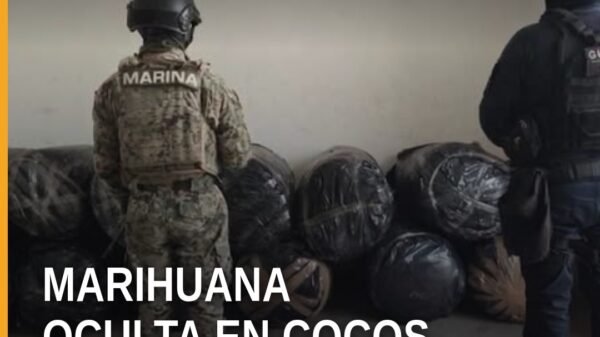Camioneta abandonada con conchas de coco y bultos que contenían media tonelada marihuana en Lázaro Cárdenas