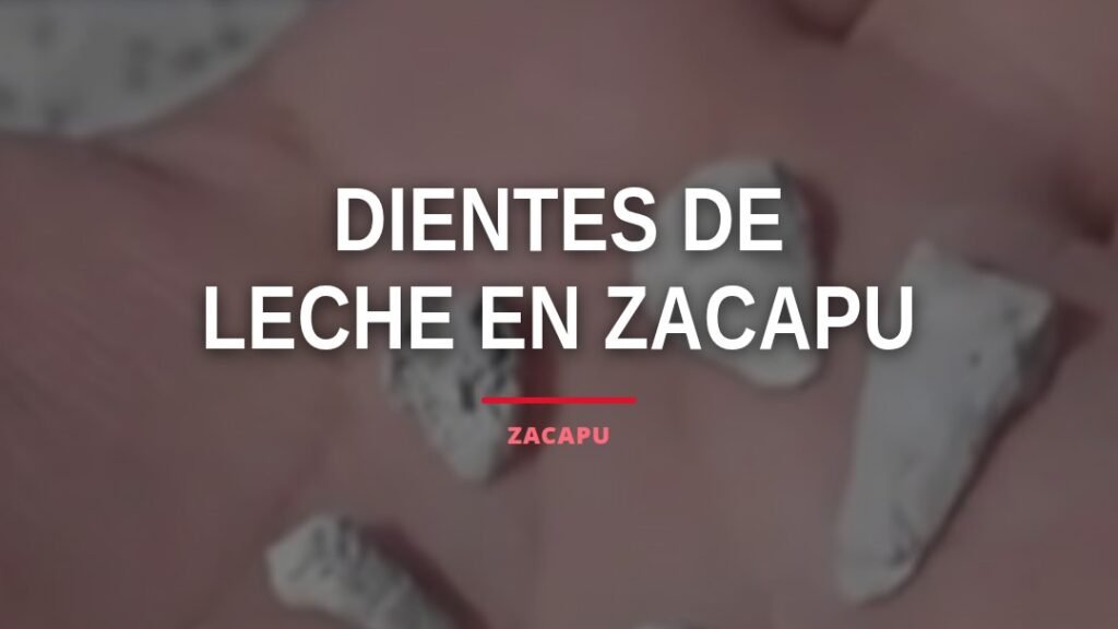 Fosa clandestina en Zacapu, Michoacán, donde se hallaron más de mil 600 dientes de leche