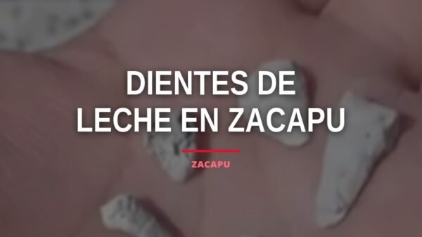 Fosa clandestina en Zacapu, Michoacán, donde se hallaron más de mil 600 dientes de leche