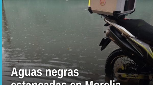 Vista de estancamiento de aguas negras y pluviales en la calle Fucsia, Ampliación El Porvenir, Morelia, a espaldas de la