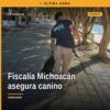 Fiscalía Michoacán canino: personal de la Policía de Investigación asegurando a un canino hembra negro en la calle Ocampo