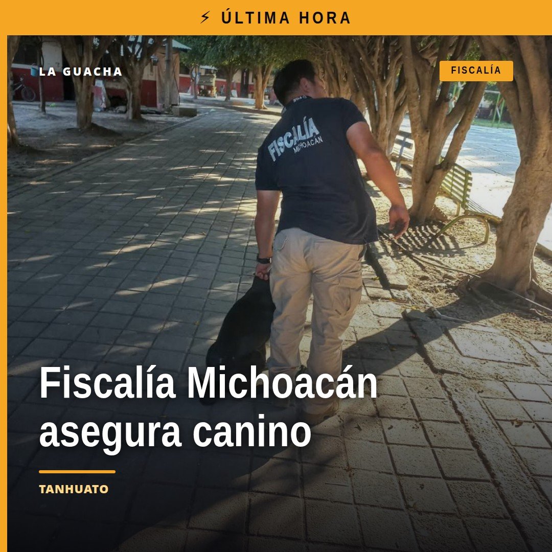 Fiscalía Michoacán canino: personal de la Policía de Investigación asegurando a un canino hembra negro en la calle Ocampo