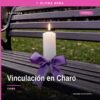 Fiscalía de michoacán vinculación judicial de Benito “N” por homicidio en Charo, Michoacán, con representación simbólica de