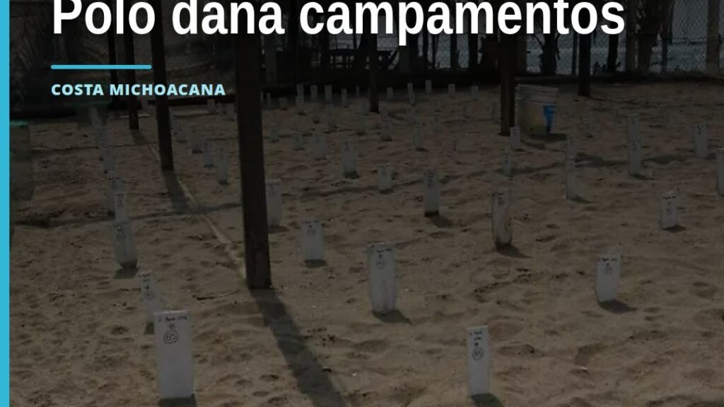 afectaciones por polo: vista aérea de playas michoacanas con estructuras dañadas de campamentos tortugueros
