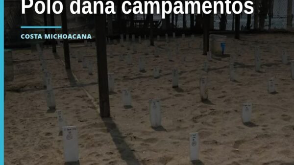 afectaciones por polo: vista aérea de playas michoacanas con estructuras dañadas de campamentos tortugueros