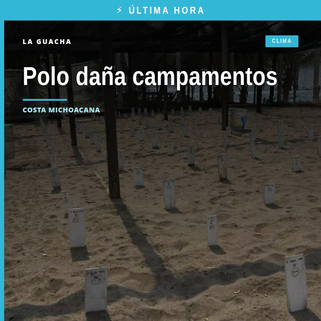 afectaciones por polo: vista aérea de playas michoacanas con estructuras dañadas de campamentos tortugueros