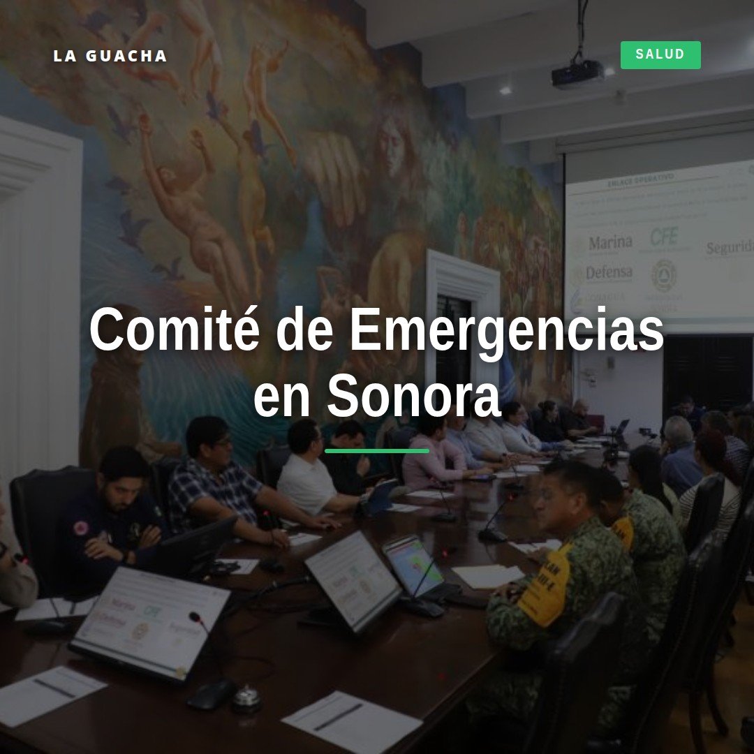 Funcionarios estatales y federales reunidos en Palacio de Gobierno de Sonora durante la instalación del comité de