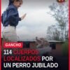 Ceremonia de jubilación agentes caninos con perros y manejadores en Morelia, Michoacán, el 29 de septiembre de 2026