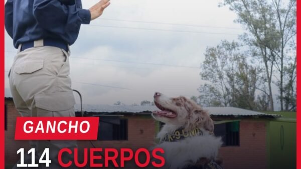 Ceremonia de jubilación agentes caninos con perros y manejadores en Morelia, Michoacán, el 29 de septiembre de 2026