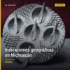 Mapa de Michoacán con iconos señalando los 8 productos con indicaciones geográficas michoacán