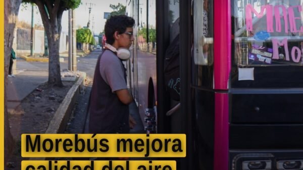 Autobuses híbridos del Morebús circulando en Morelia junto a árboles nativos recién plantados, simbolizando cómo morebús