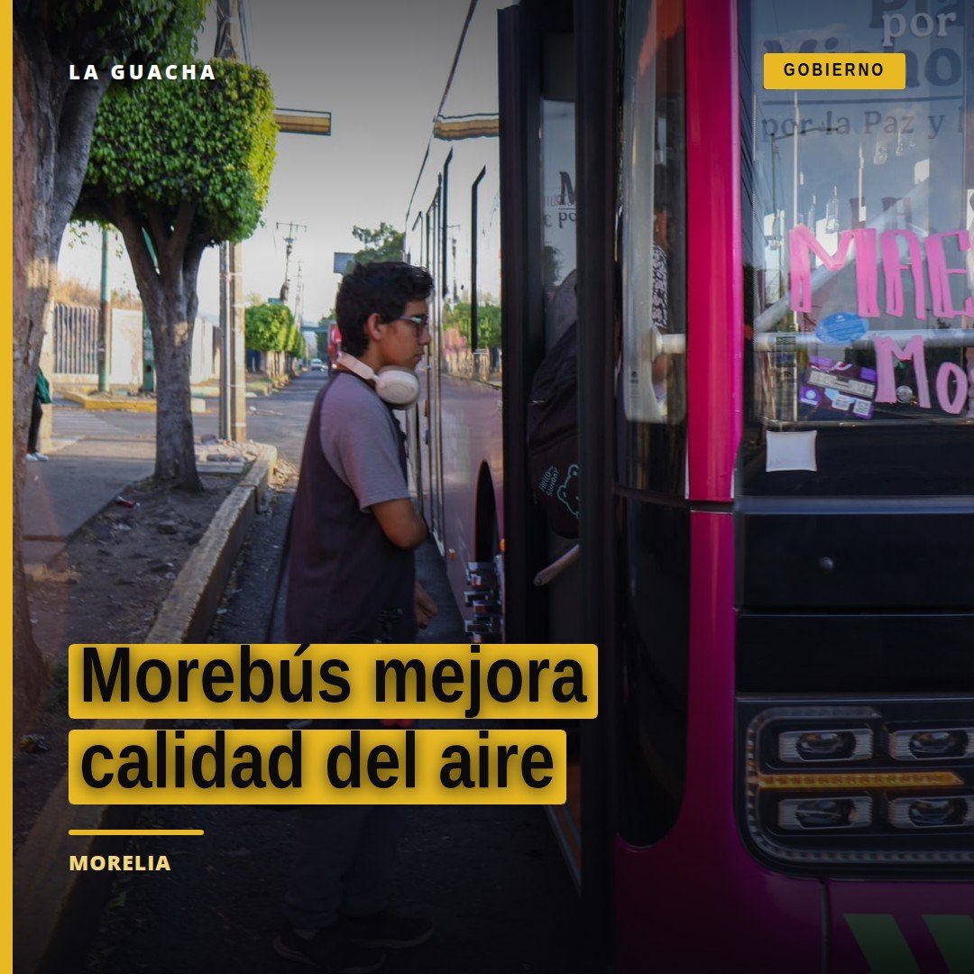 Autobuses híbridos del Morebús circulando en Morelia junto a árboles nativos recién plantados, simbolizando cómo morebús