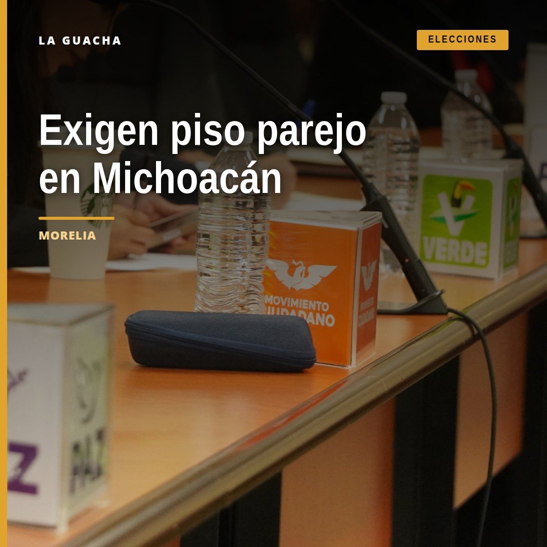 Consejo Local del INE en sesión en Morelia con representantes de partidos políticos exigiendo piso parejo michoacán