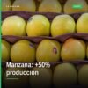 Producción nacional de manzana: montón de manzanas rojas y verdes sobre superficie rústica, con etiqueta '2026 +50%'
