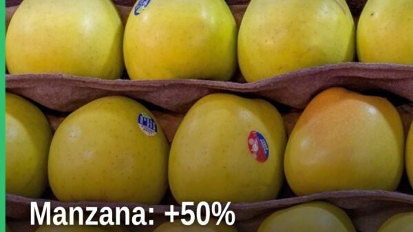 Producción nacional de manzana: montón de manzanas rojas y verdes sobre superficie rústica, con etiqueta '2026 +50%'