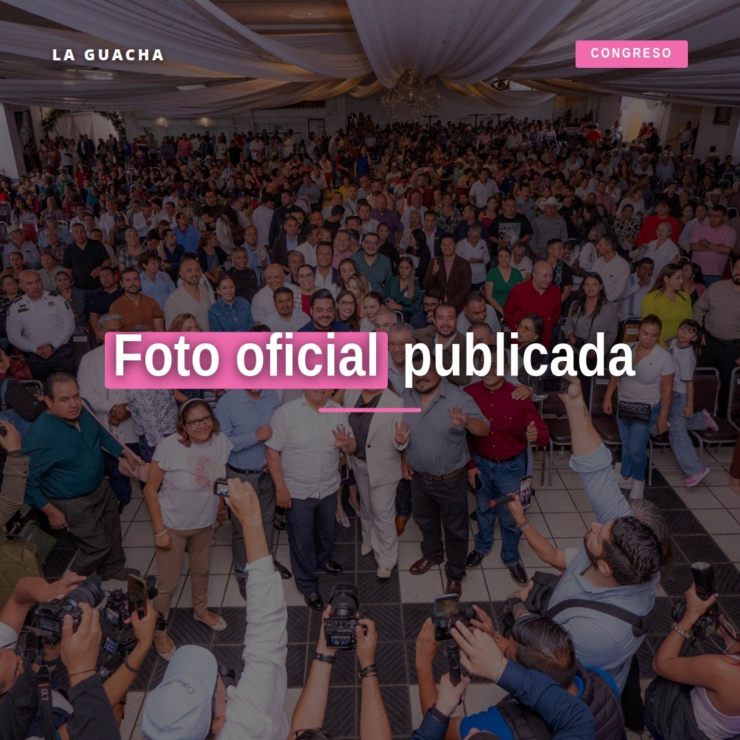 foto oficial de la diputada Belinda, imagen institucional en formato de retrato formal