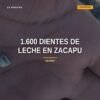 Ilustración simbólica de dientes de leche colocados sobre tierra en Zacapu, con sello institucional discreto y tono serio