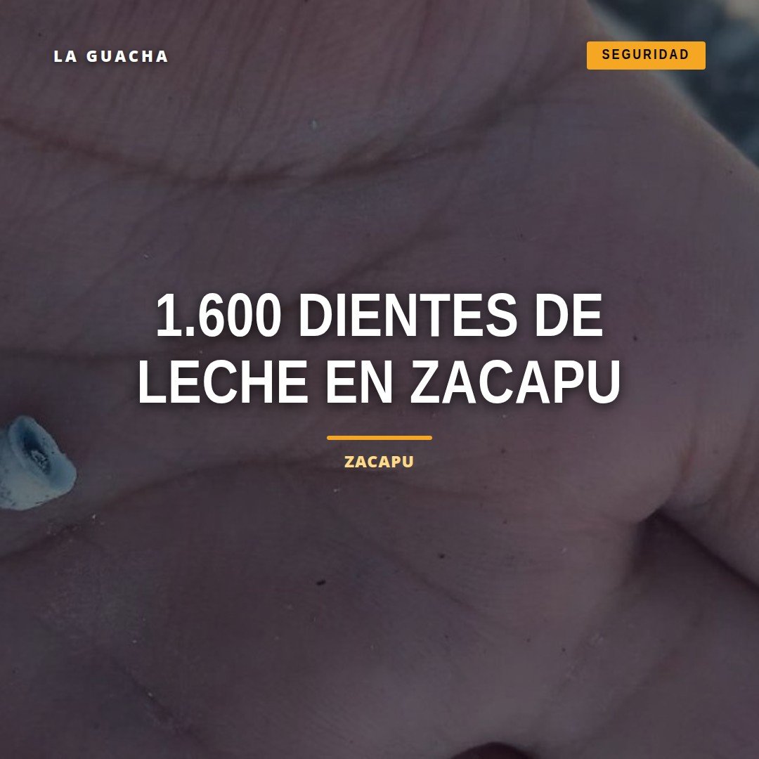 Ilustración simbólica de dientes de leche colocados sobre tierra en Zacapu, con sello institucional discreto y tono serio