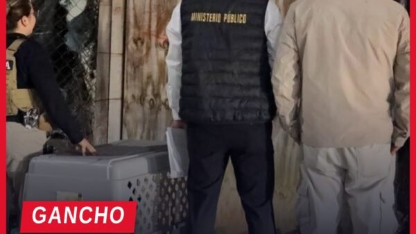 rescate canino morelia: perro macho adulto de color café resguardado por personal de la Fiscalía General del Estado de