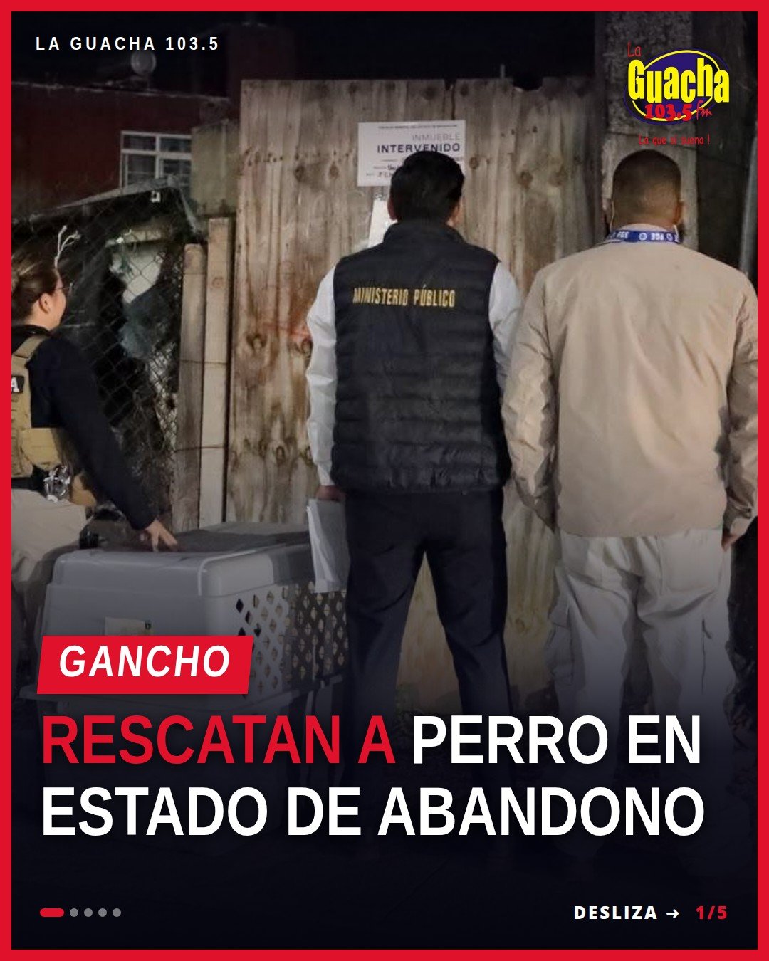 rescate canino morelia: perro macho adulto de color café resguardado por personal de la Fiscalía General del Estado de