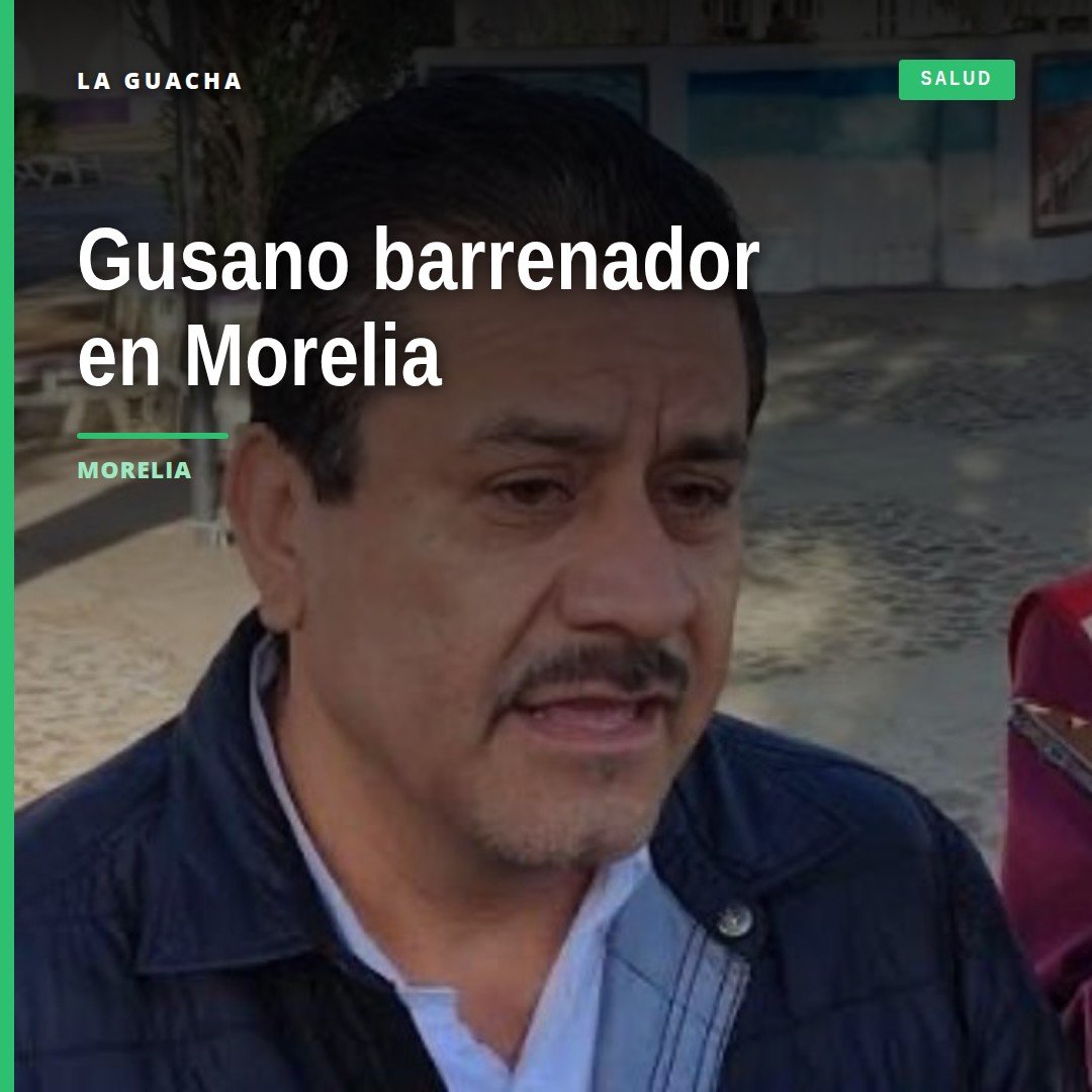 Mapa de Morelia con marcadores en sur y poniente indicando zonas afectadas por gusano barrenador morelia