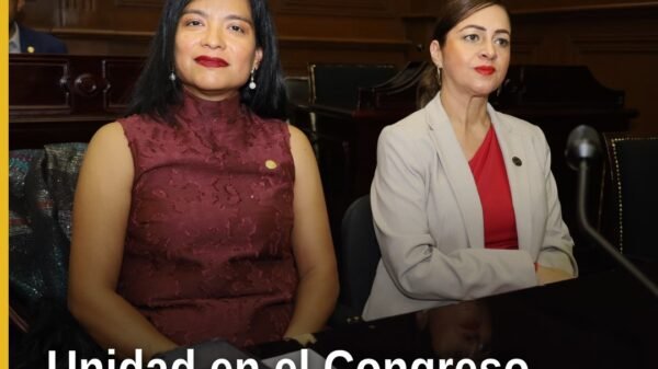 Diputada Eréndira Isauro Hernández hablando en el Congreso del Estado de Michoacán en Morelia, durante la apertura del