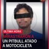 crueldad animal villamar: ilustración simbólica de una motocicleta y un perro pitbull en un camino de terracería, sin
