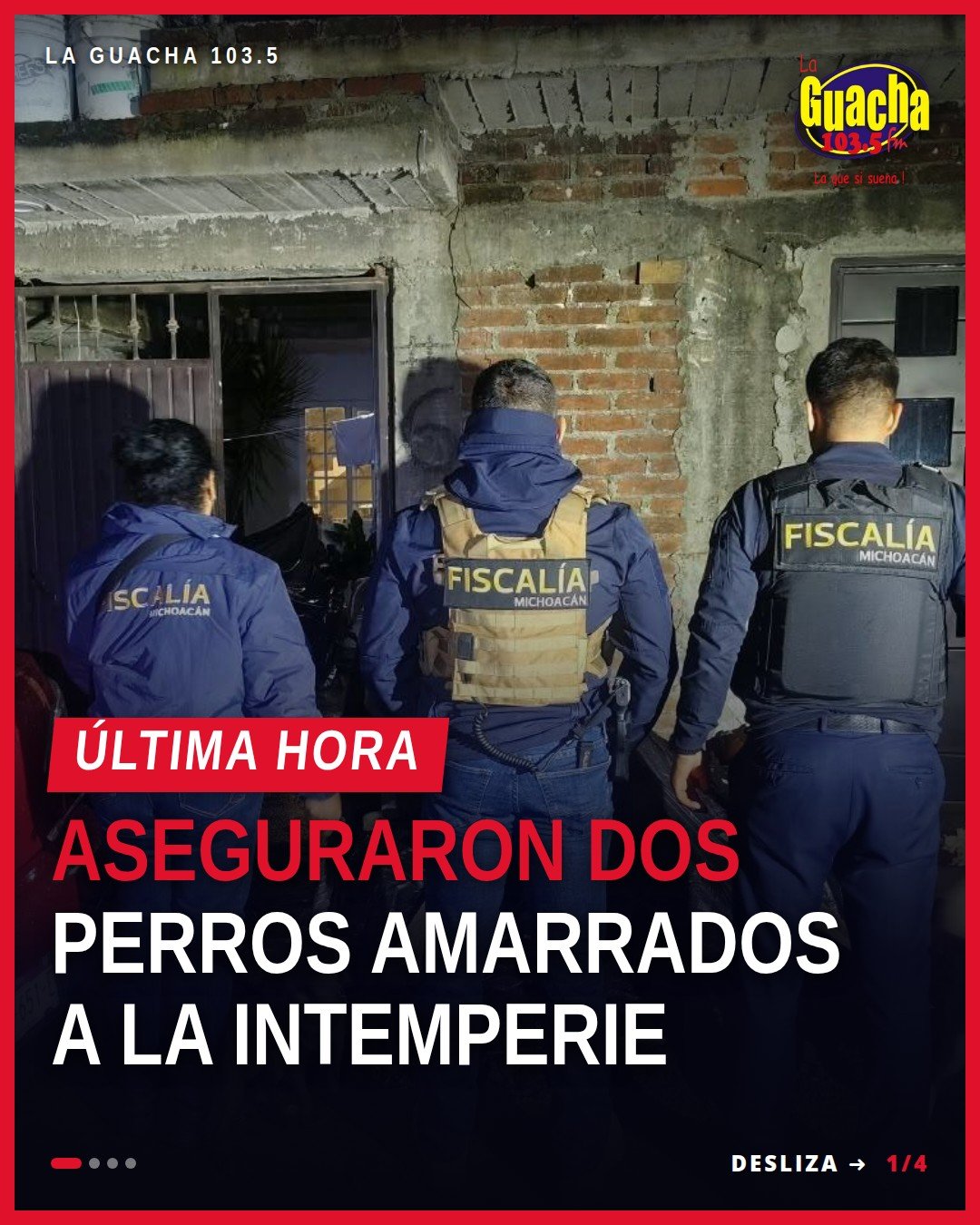 Dos caninos asegurados por maltrato animal uruapan: uno pequeño negro y uno mediano beige, amarrados al exterior de una